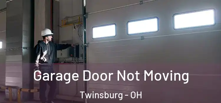  Garage Door Not Moving Twinsburg - OH