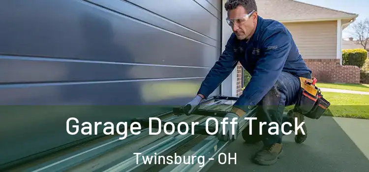  Garage Door Off Track Twinsburg - OH