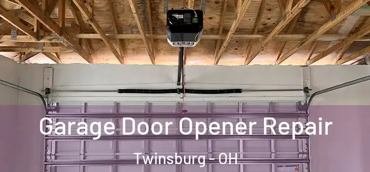  Garage Door Opener Repair Twinsburg - OH