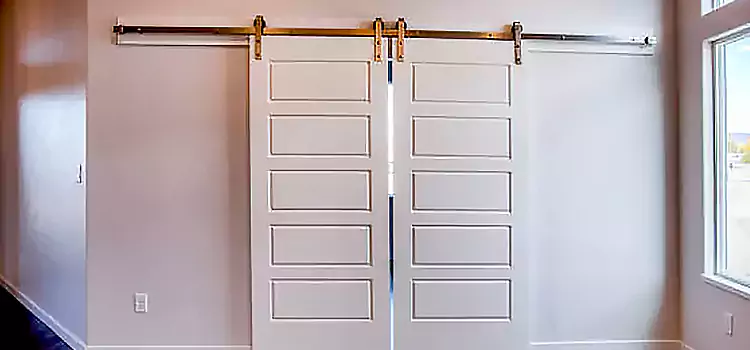 Glass Barn Door with Installation Hardware Kit Twinsburg