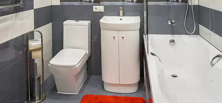 Hansgrohe Shaving Mirror Twinsburg